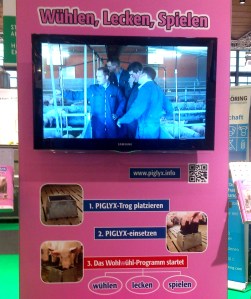 Wühlen Lecken Spielen