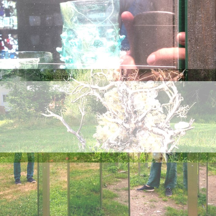 Glas Wald Collage 1 Aug18