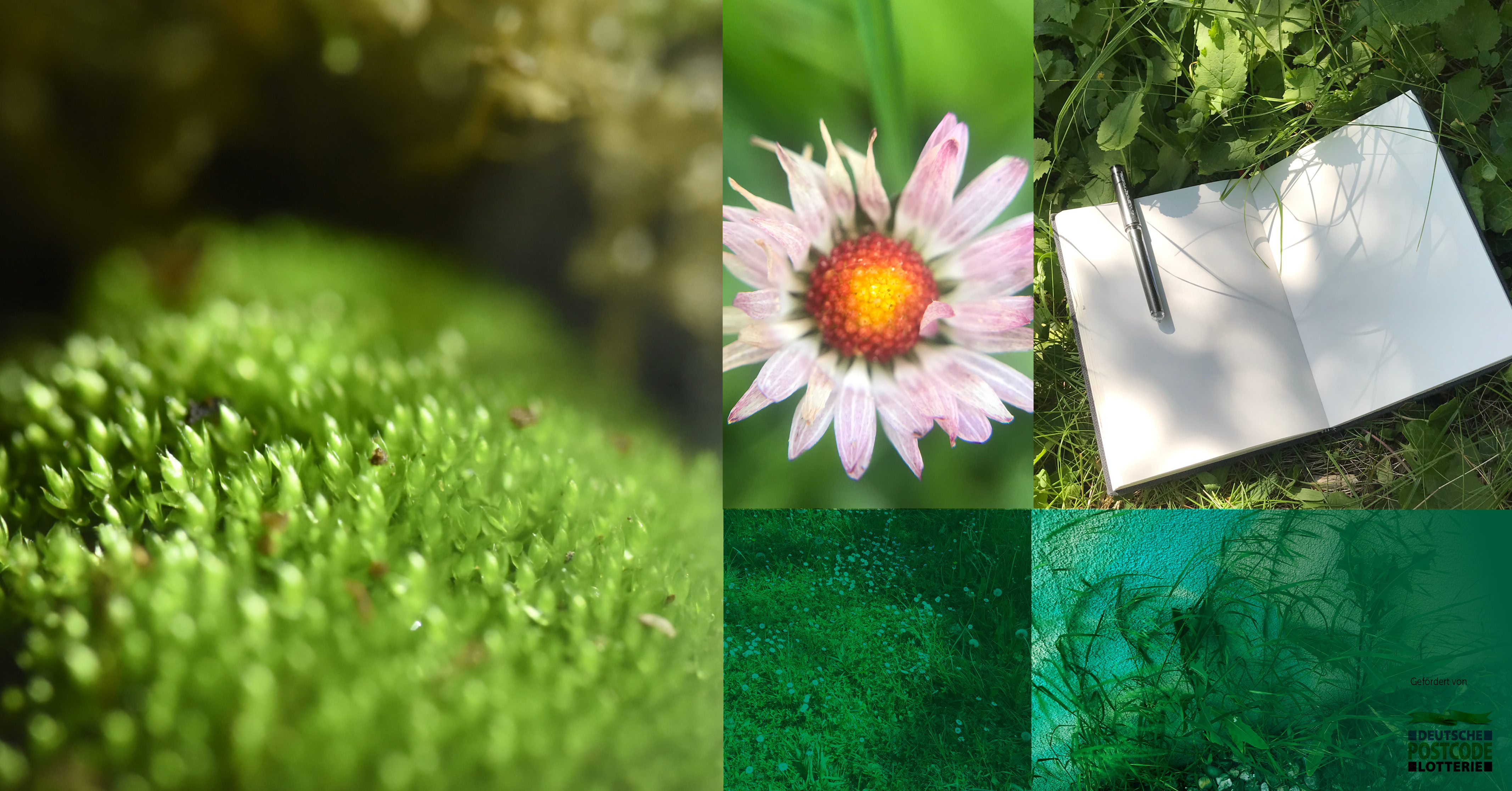 24_07_13_Jo_No_Bibliothek_nurBild